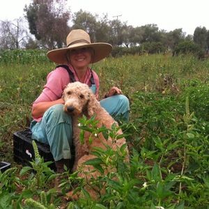 Meet your Posher, Kjesten